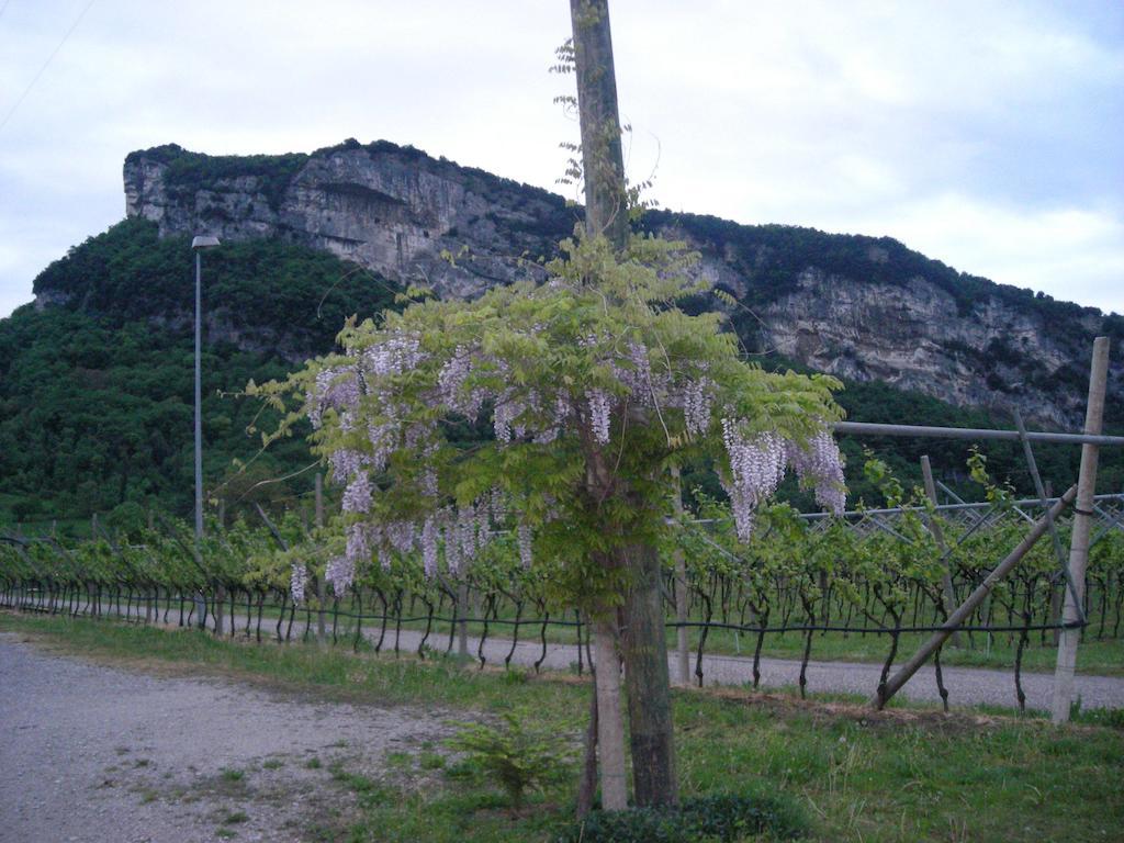 Agritur Giovanazzi Villa Arco Esterno foto